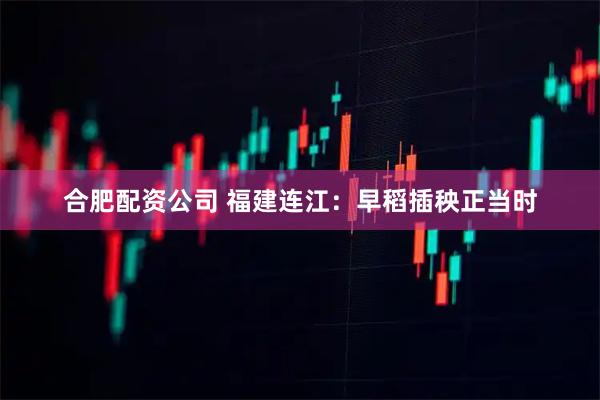 合肥配资公司 福建连江：早稻插秧正当时