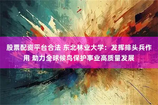 股票配资平台合法 东北林业大学：发挥排头兵作用 助力全球候鸟保护事业高质量发展